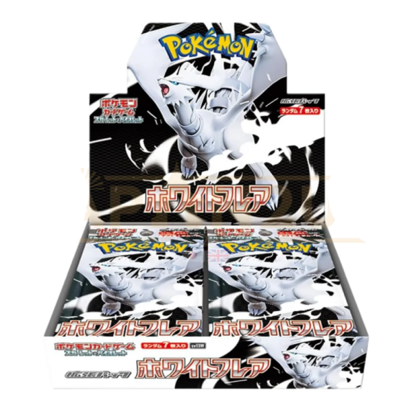 Pokemon White Flare Display Japanisch