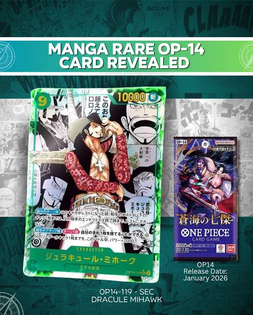 One Piece OP 14 CASE Japanisch
